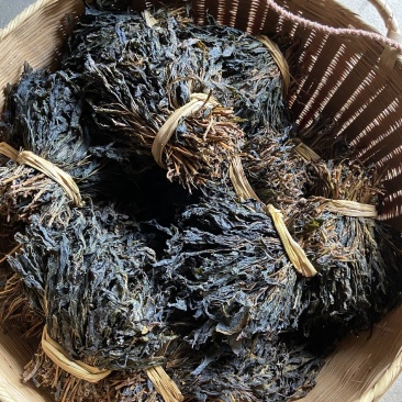 苦斋婆，苦斋菜，苦菜，野菜，瑶山天然野菜，