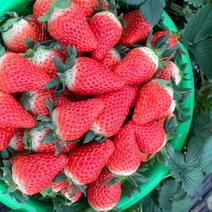 草莓，草莓！草莓！草莓