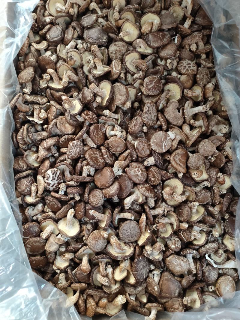 带脚香菇食用菌冬菇干货菇味香十足