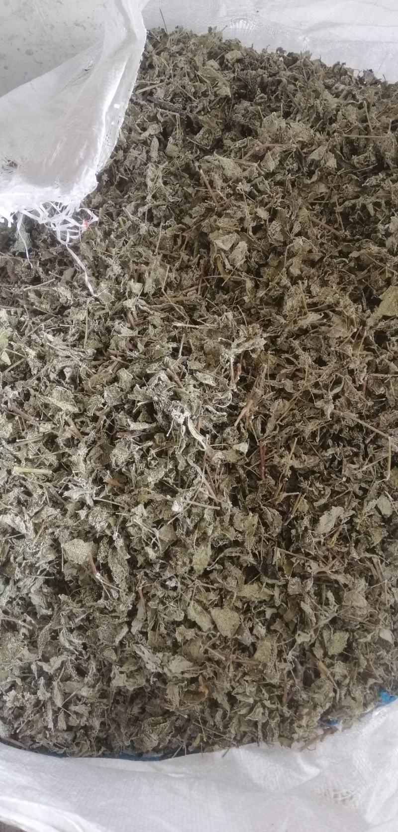 瑶山白茶，藤婆茶，藤茶，天然野生茶叶，凉茶
