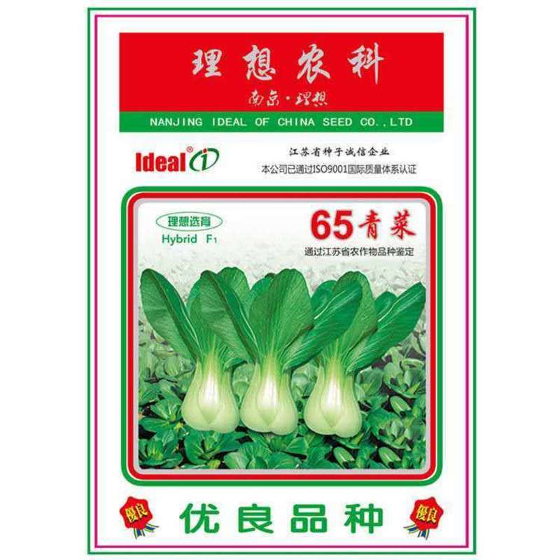 四季小白菜菜种子矮脚上海青种子小青菜籽蔬菜油菜盆栽阳台蔬