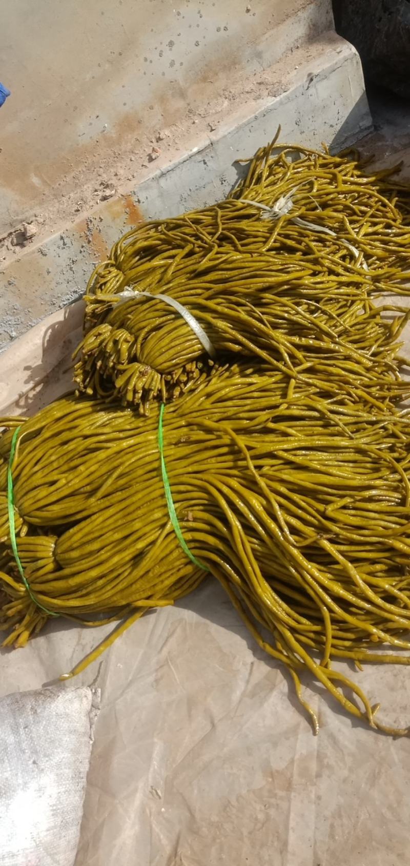 大量出售优质泡椒，酸豆角。剁椒。可长期合作，