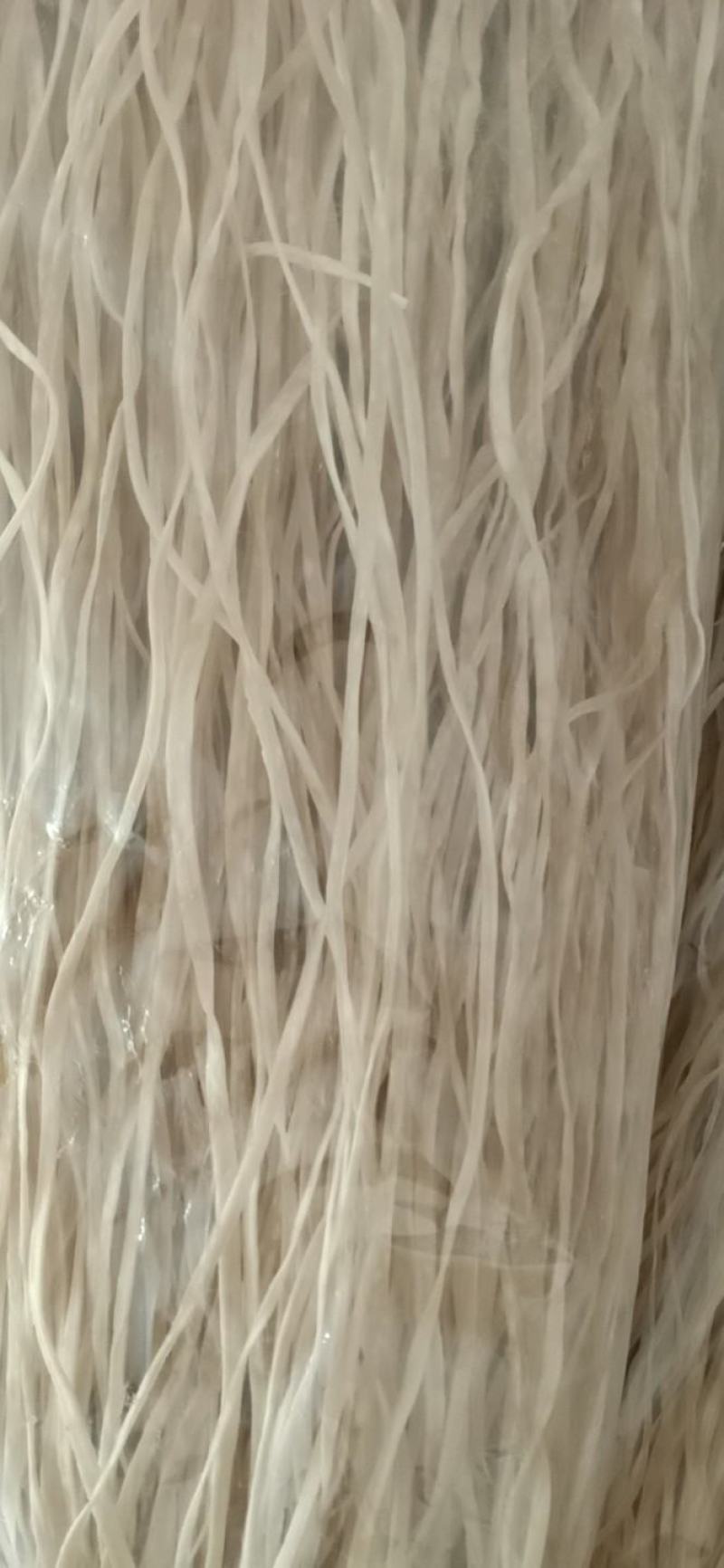专卖纯红薯粉条保证质量
