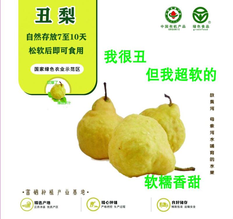 丑梨现货6万斤欢迎客商购货