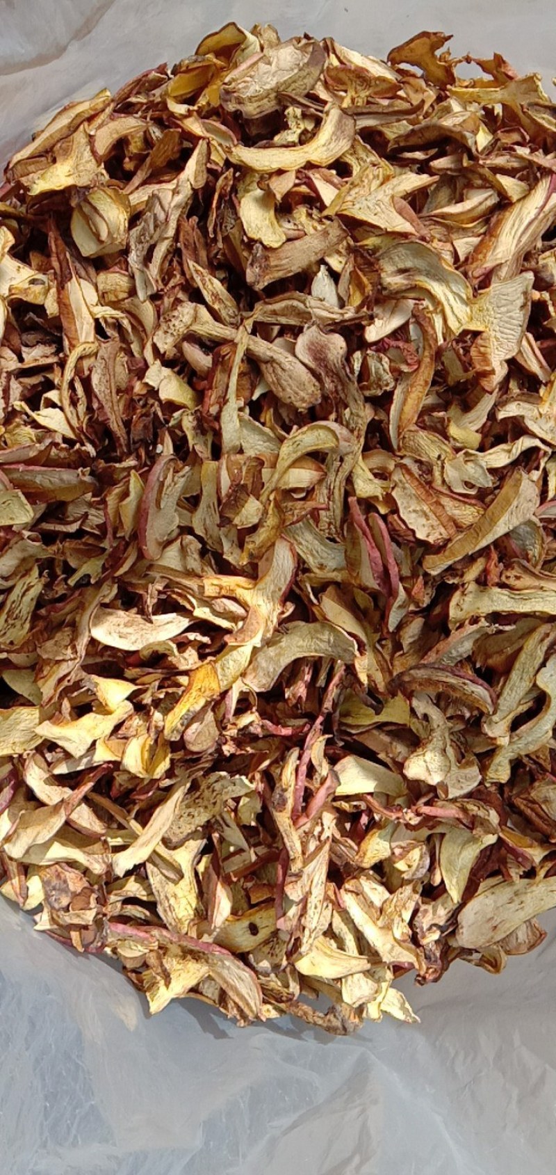 白葱菌，黄牛肝，承德地区特产，口感好，薄片，一手货源！