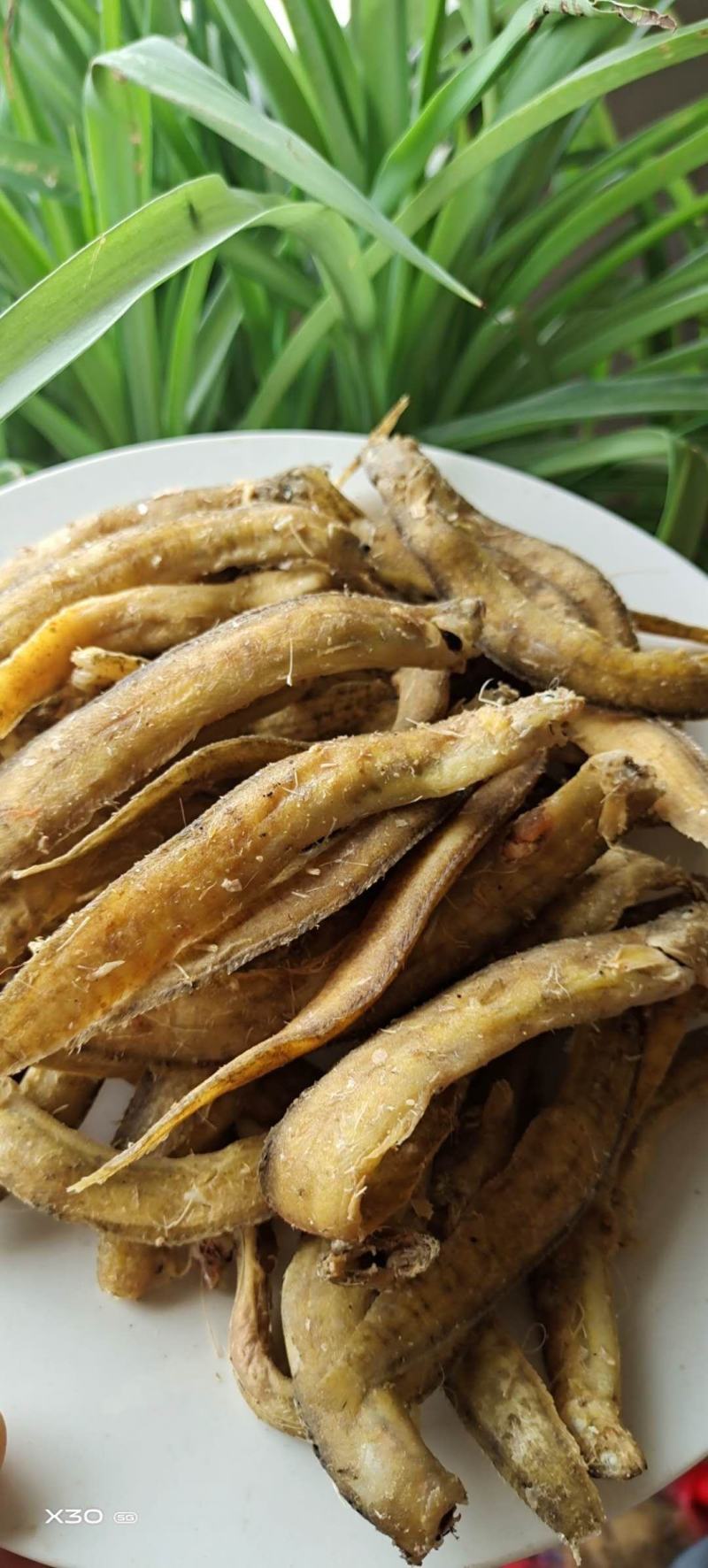 黄金凤尾鱼！宽条细条油炸做麻辣鱼食材可视频看货产地直发
