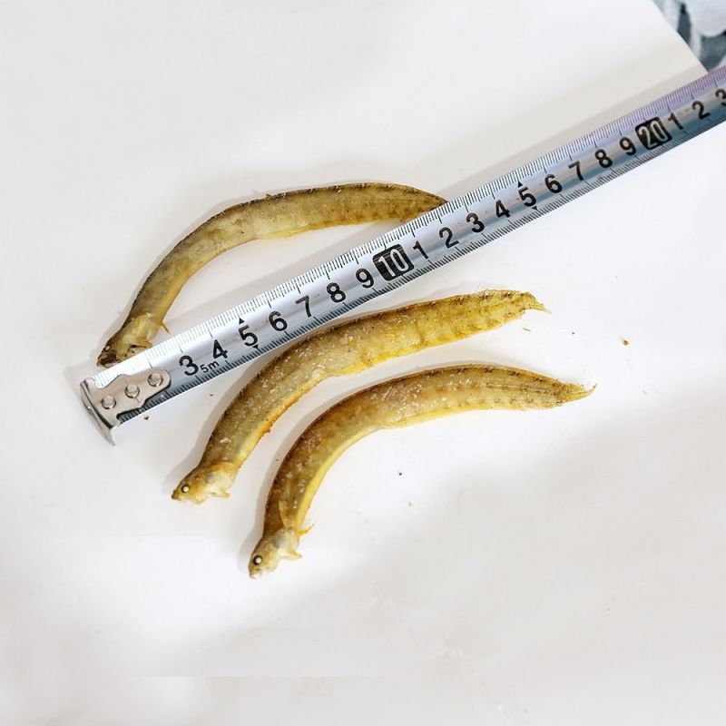 黄金凤尾鱼！宽条细条油炸做麻辣鱼食材可视频看货产地直发