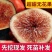 无花果苗波姬红无花果苗南北种植基地精选精心育苗