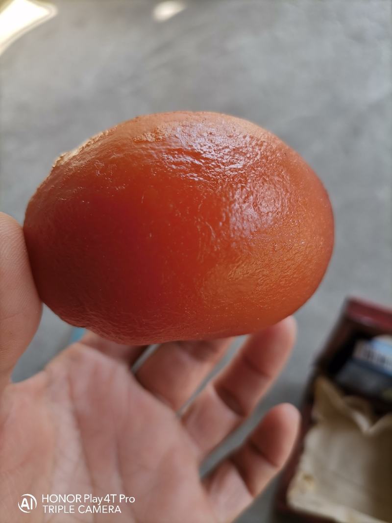 今天杀自家的老母鸡得的这东西是鸡宝吗