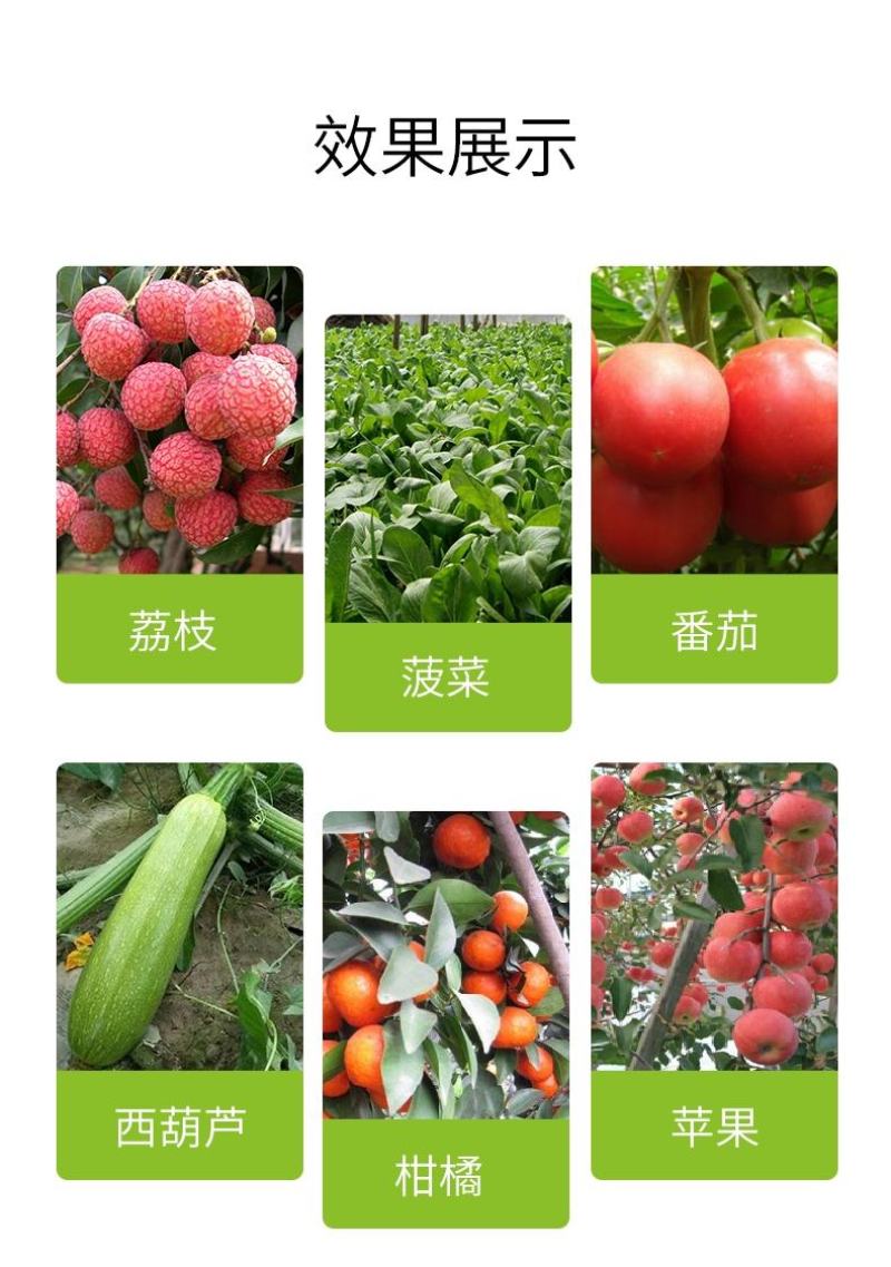 快长提苗促梢专用促进生长抗逆防衰不含任何激素