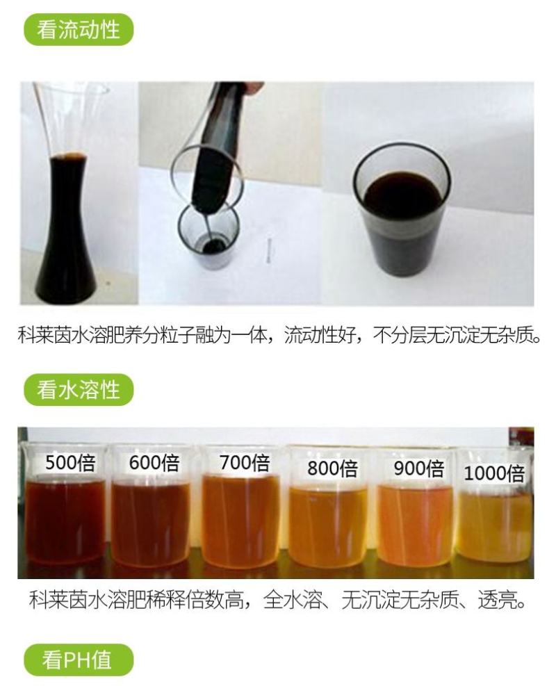 快长提苗促梢专用促进生长抗逆防衰不含任何激素