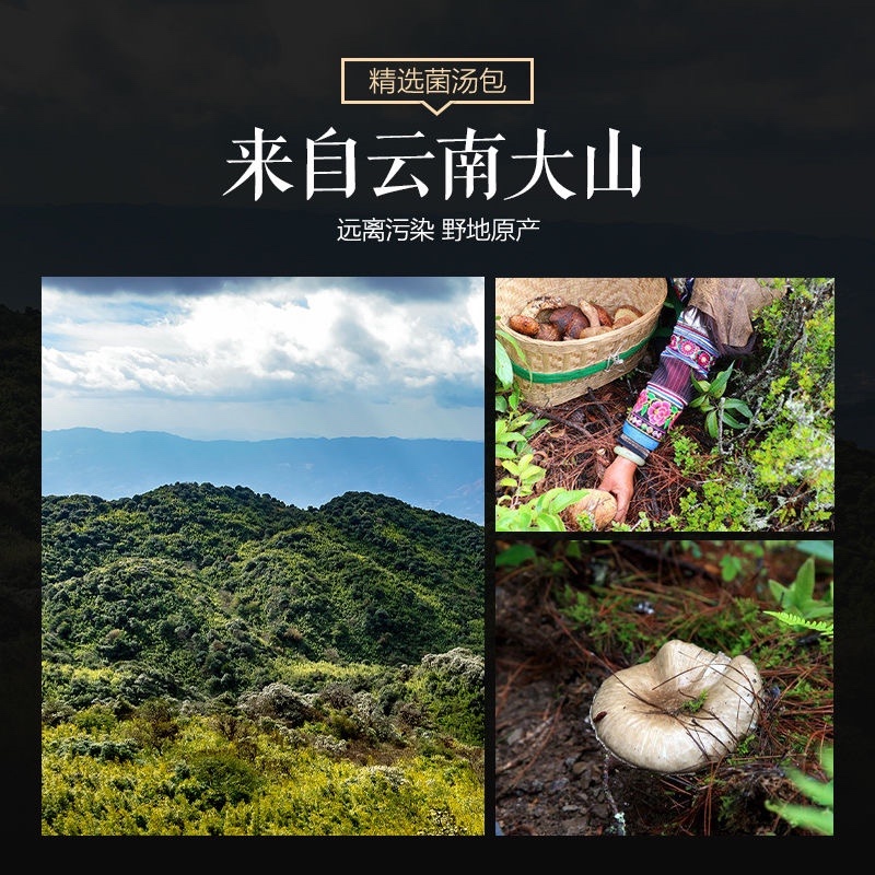 七彩菌汤包100克野生干货煲汤食材云南特产一件代发