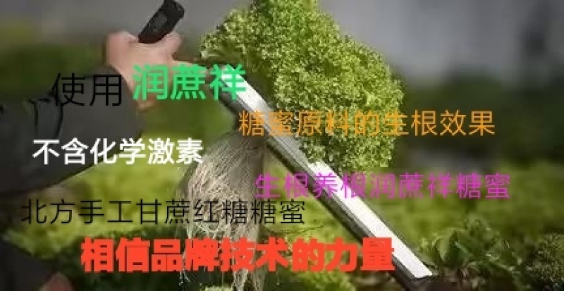 糖蜜发酵液（北方甘蔗红糖糖蜜）自然农耕，纯手工零添加，