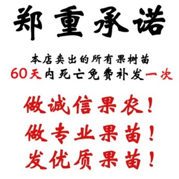 冰糖红桔苗苗木合作社苗圃直发品种保障不活包赔