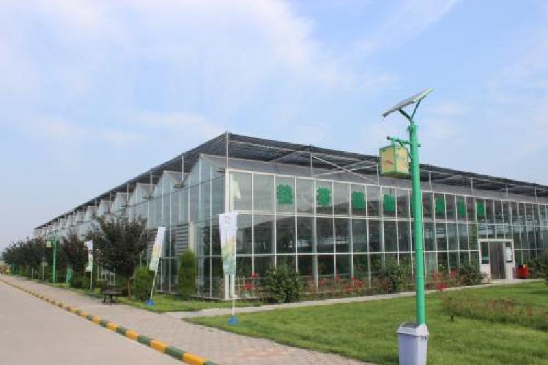 种植棚华运通实体温室厂家一站式服务质量信誉互赢量大有优惠