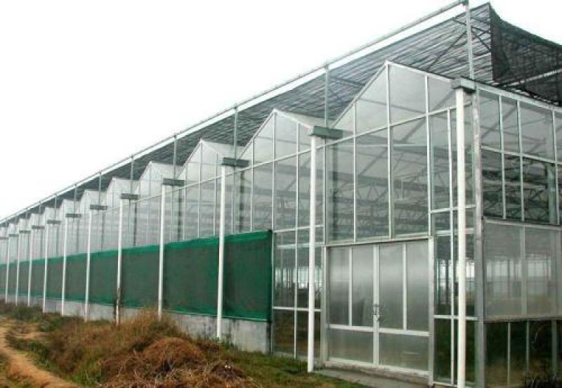 种植棚华运通实体温室厂家一站式服务质量信誉互赢量大有优惠
