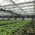 种植棚华运通实体温室厂家一站式服务质量信誉互赢量大有优惠