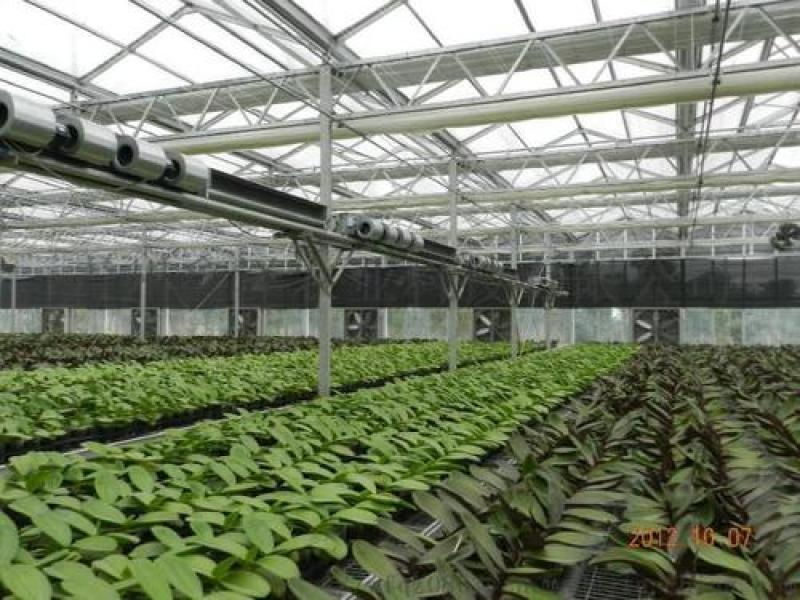 种植棚华运通实体温室厂家一站式服务质量信誉互赢量大有优惠