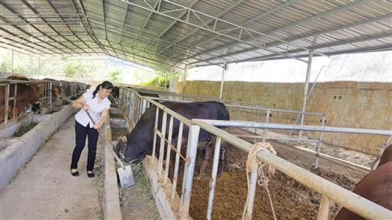 种植棚华运通实体温室厂家一站式服务质量信誉互赢量大有优惠