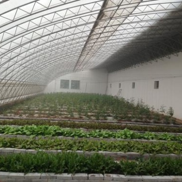 种植棚华运通实体温室厂家一站式服务质量信誉互赢量大有优惠
