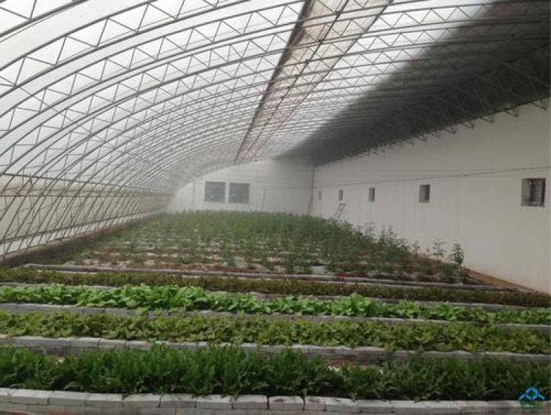 种植棚华运通实体温室厂家一站式服务质量信誉互赢量大有优惠