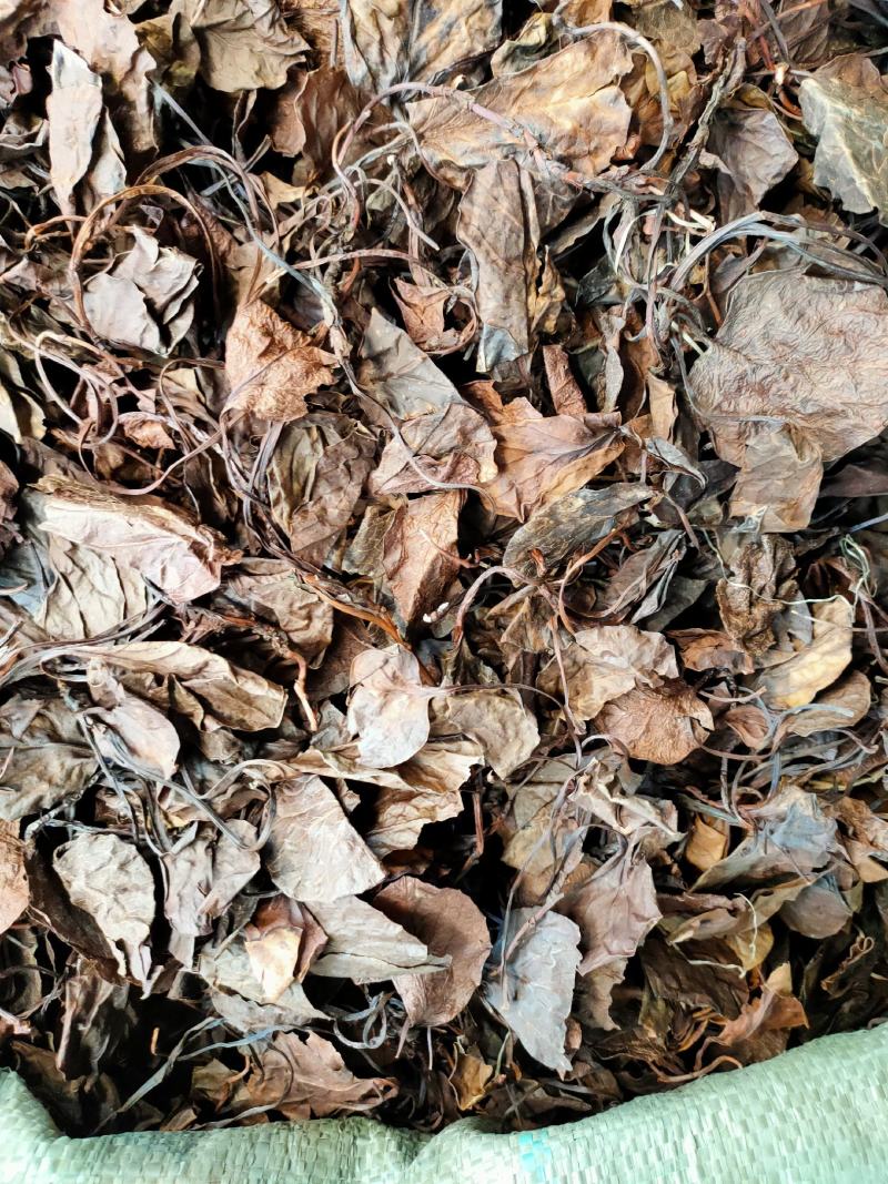 中药材精选中药材鹿晗草鹿衔草蹄草鹿含草