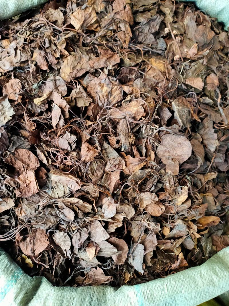 中药材精选中药材鹿晗草鹿衔草蹄草鹿含草