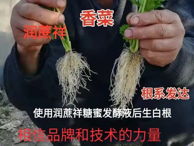 糖蜜发酵液（北方甘蔗红糖糖蜜）自然农耕，纯手工零添加，