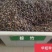 棕榈种子唐棕榈山棕树龙鳞棕观音竹棕竹老人葵种子芭蕉伞树