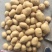 土豆种子：亩产高适应范围广，黄心和白心品种齐全。