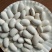 白云豆大量供应质量保证