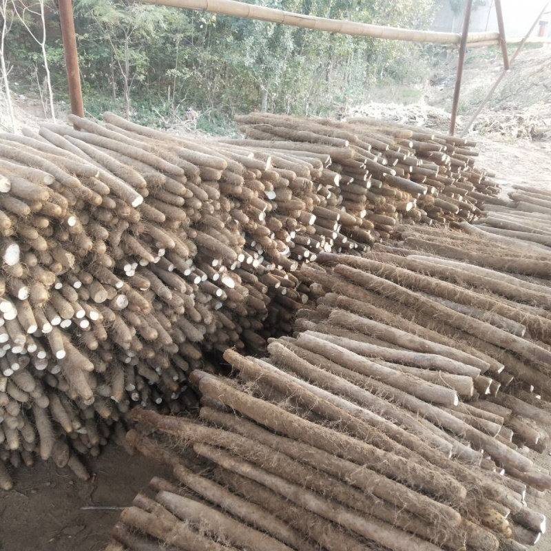 河北白玉山药，新鲜现挖发货，农家直销，口感面甜，欢迎电联