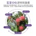 促花催芽花果多花芽分化诱导刺激素防治畸形增产抗逆