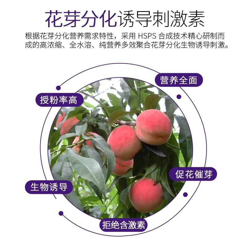 促花催芽花果多花芽分化诱导刺激素防治畸形增产抗逆