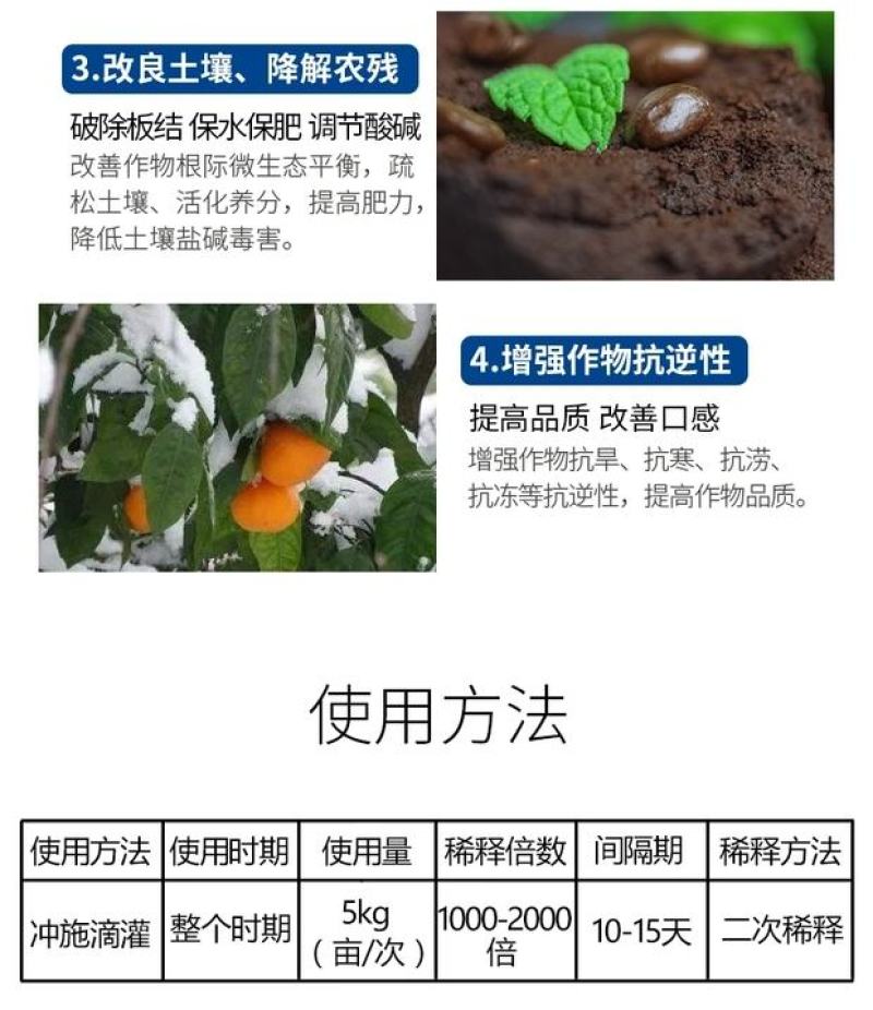 根医生以菌克菌活化养分解决根部问题快速长新根