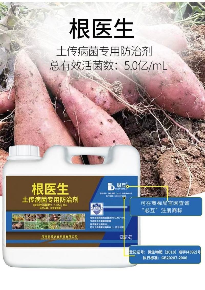 根医生以菌克菌活化养分解决根部问题快速长新根