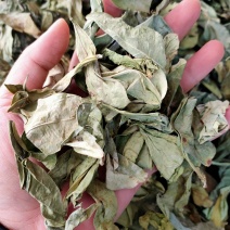 中药材新货龙利叶龙俐叶龙舌叶/龙脷叶牛耳叶