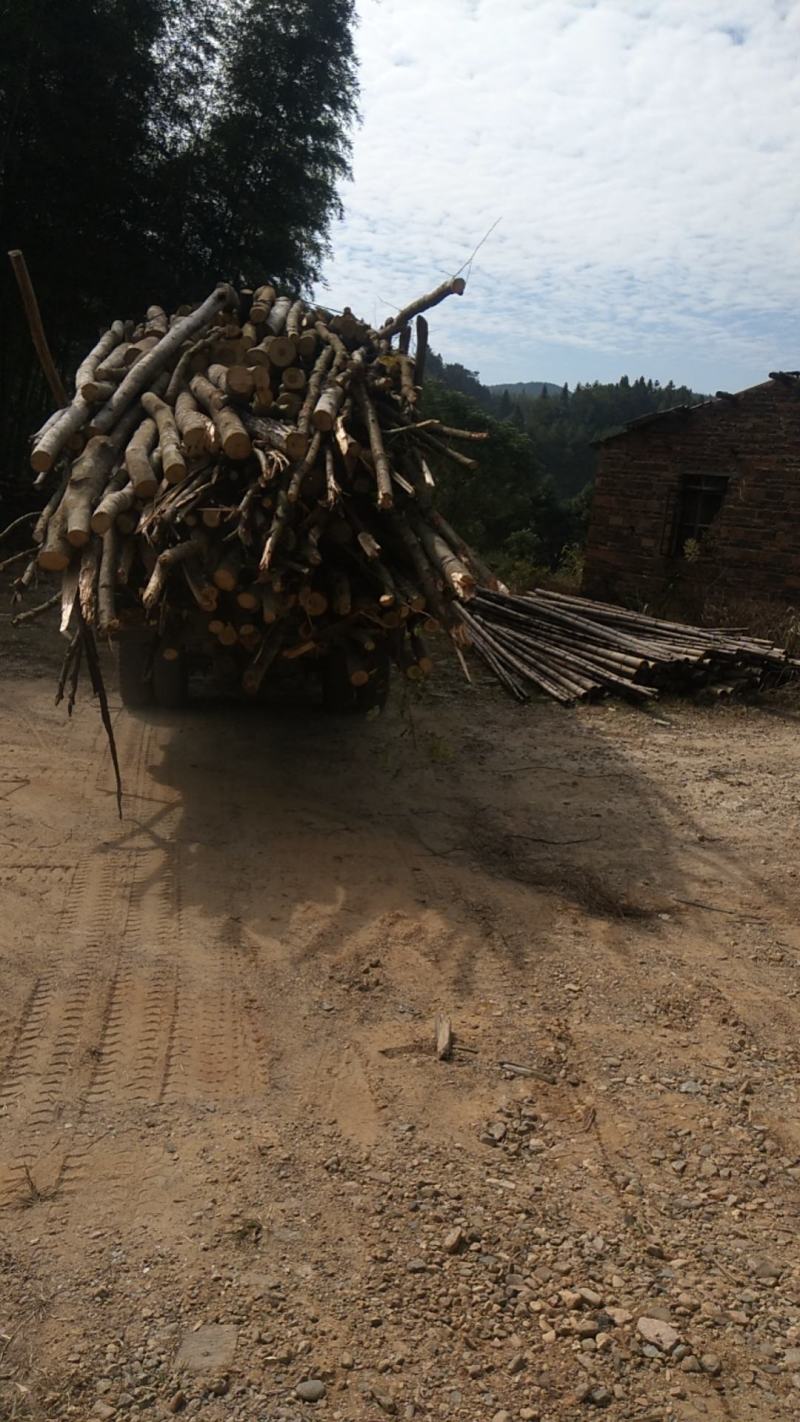 杂木，大量供应木屑，品质好