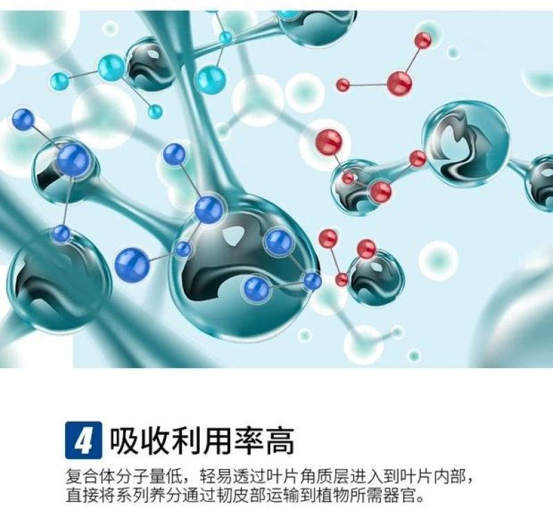 钙镁锌硼铁多元素螯合成分吸收率高多素同补质量保证