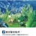 钙镁锌硼铁多元素螯合成分吸收率高多素同补质量保证