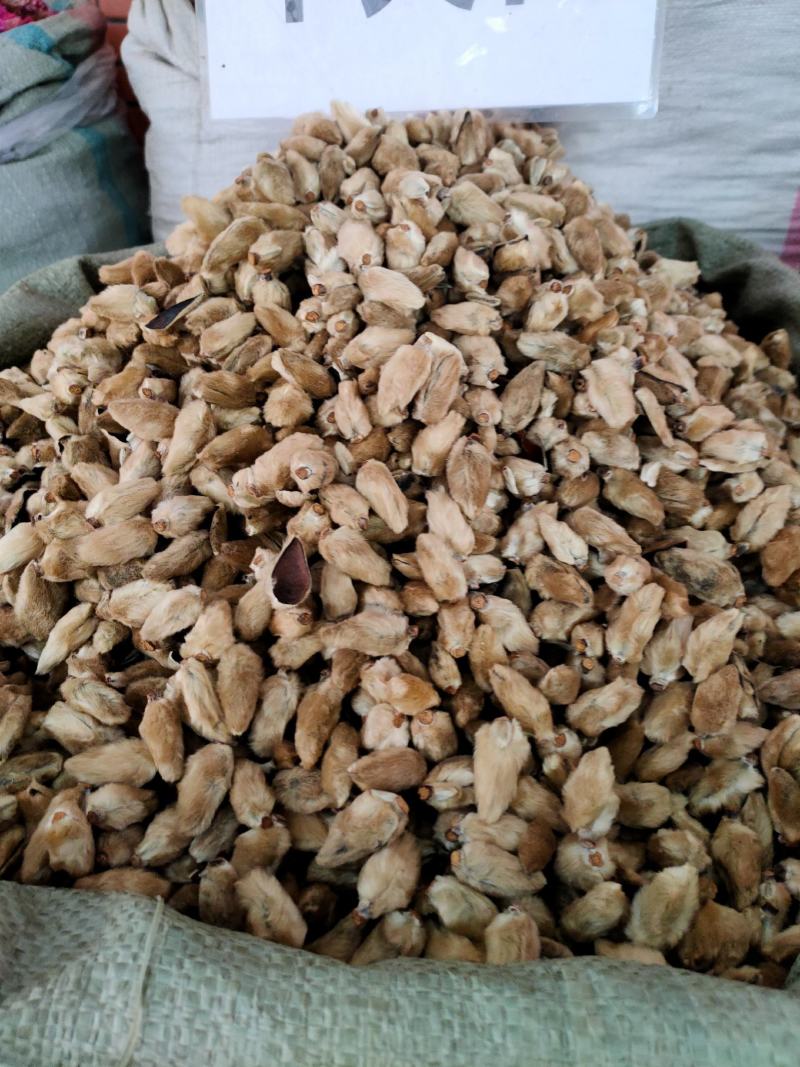 中药材正品辛夷，辛夷花新货晒干可磨辛夷粉辛夷花粉