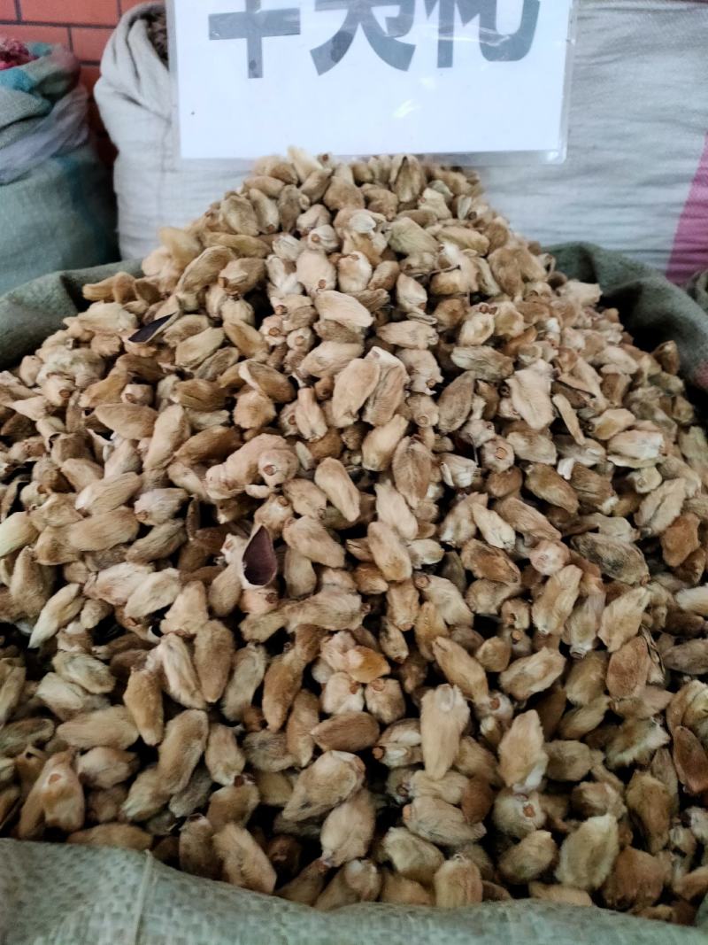 中药材正品辛夷，辛夷花新货晒干可磨辛夷粉辛夷花粉