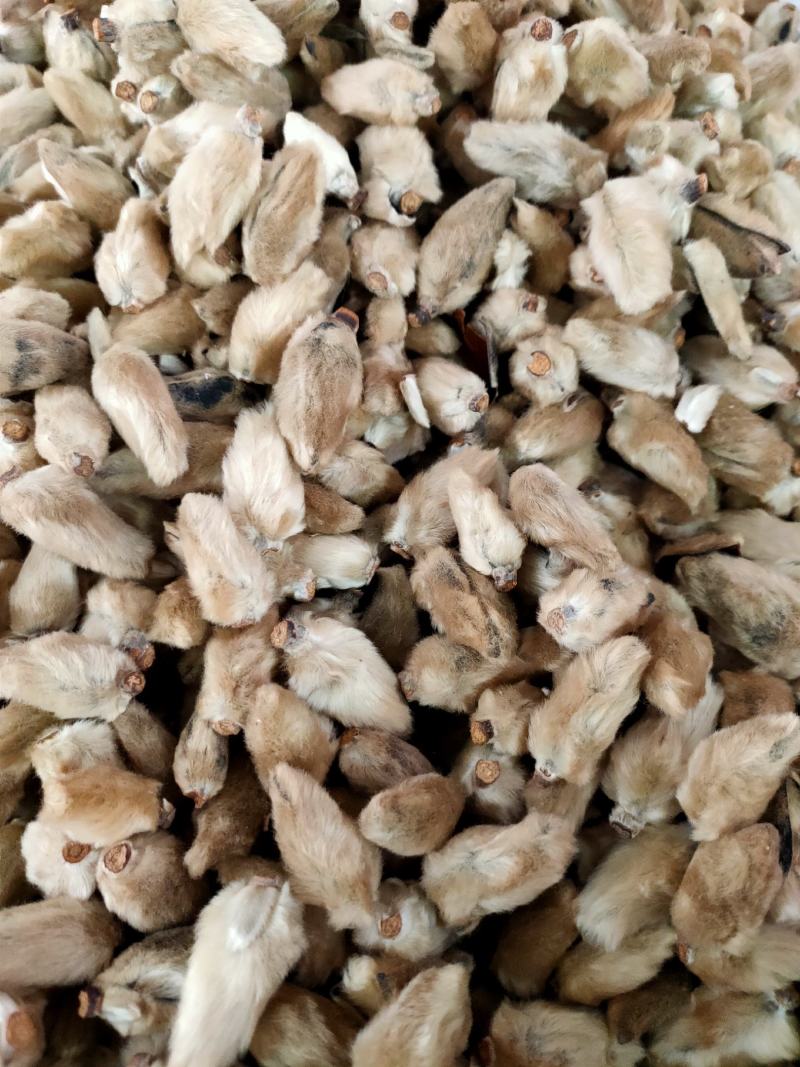 中药材正品辛夷，辛夷花新货晒干可磨辛夷粉辛夷花粉