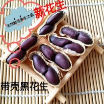 黑花生稀少黑花生富硒黑花生逢黑必补黑花生5斤装包邮