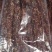 风干肉牛肉手撕肉干景区展会热销火爆好产品五香味麻辣味