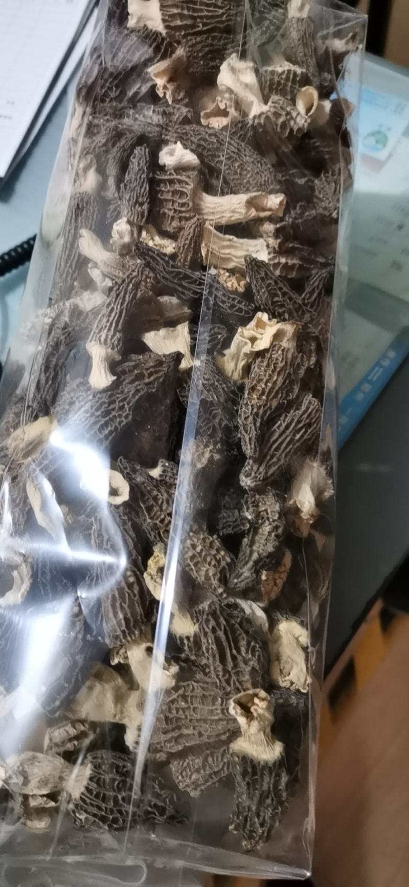 人工种植羊肚菌，羊肚菌专卖