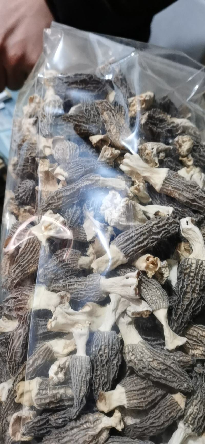 人工种植羊肚菌，羊肚菌专卖