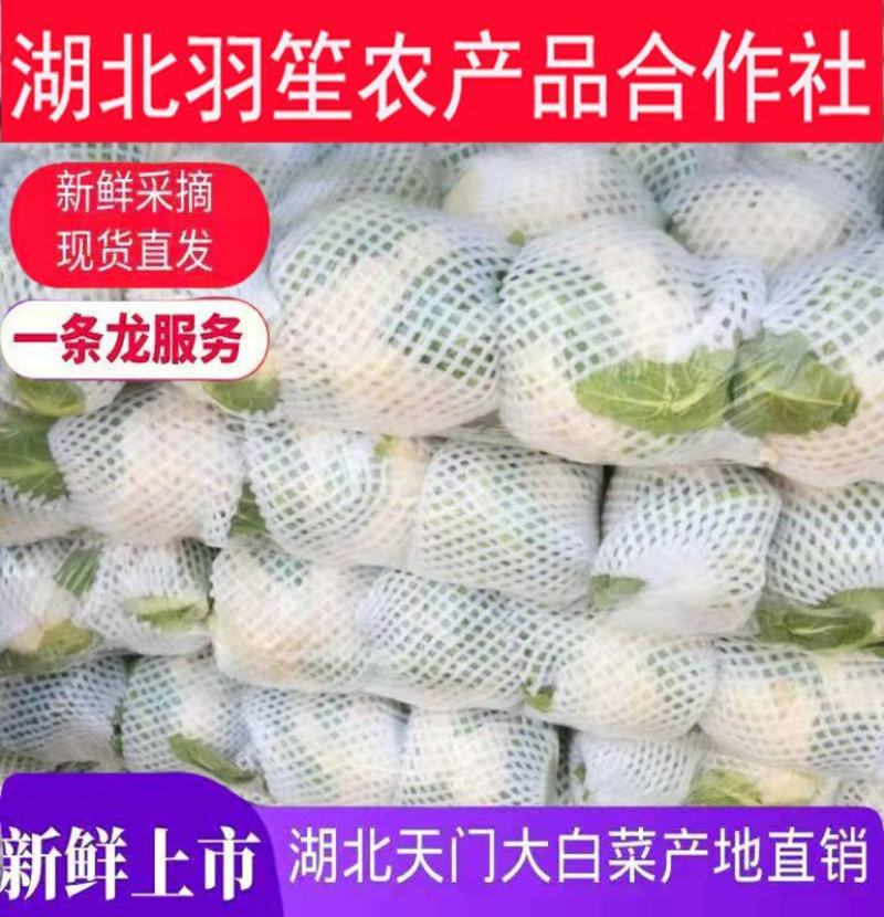 精选菜花，紧花散花2/3斤，产地供货，欢迎采购，质量可靠