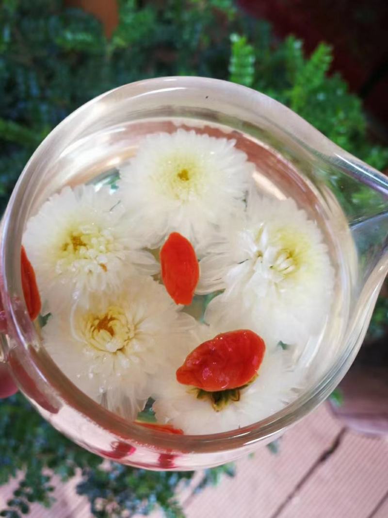 正宗黄山【贡菊】无硫纯净货保质保量…大量批发