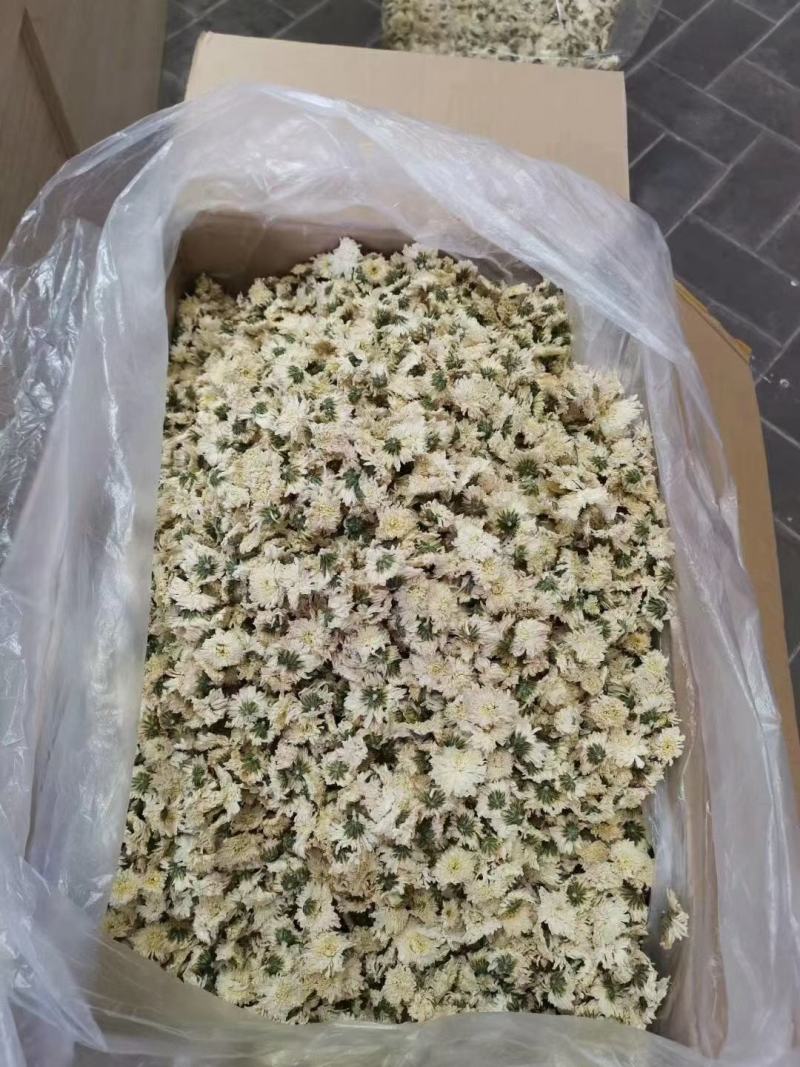 正宗黄山【贡菊】无硫纯净货保质保量…大量批发